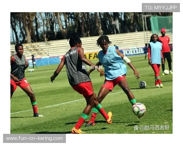 南非又赢了，团队精神真是他们的底气，南非联赛